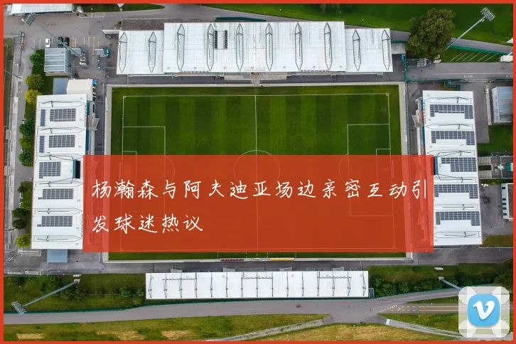 杨瀚森与阿夫迪亚场边亲密互动引发球迷热议