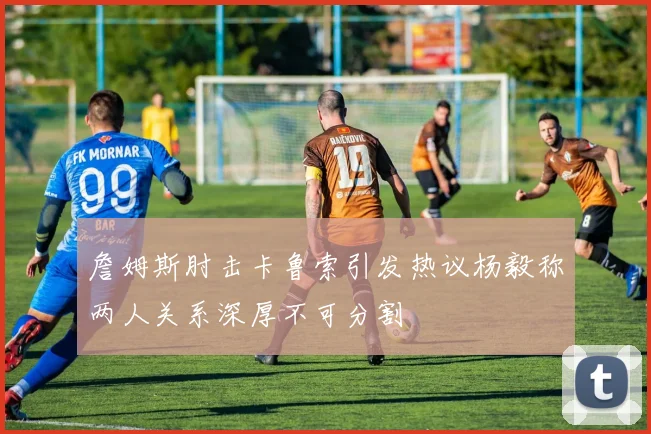 詹姆斯肘击卡鲁索引发热议杨毅称两人关系深厚不可分割